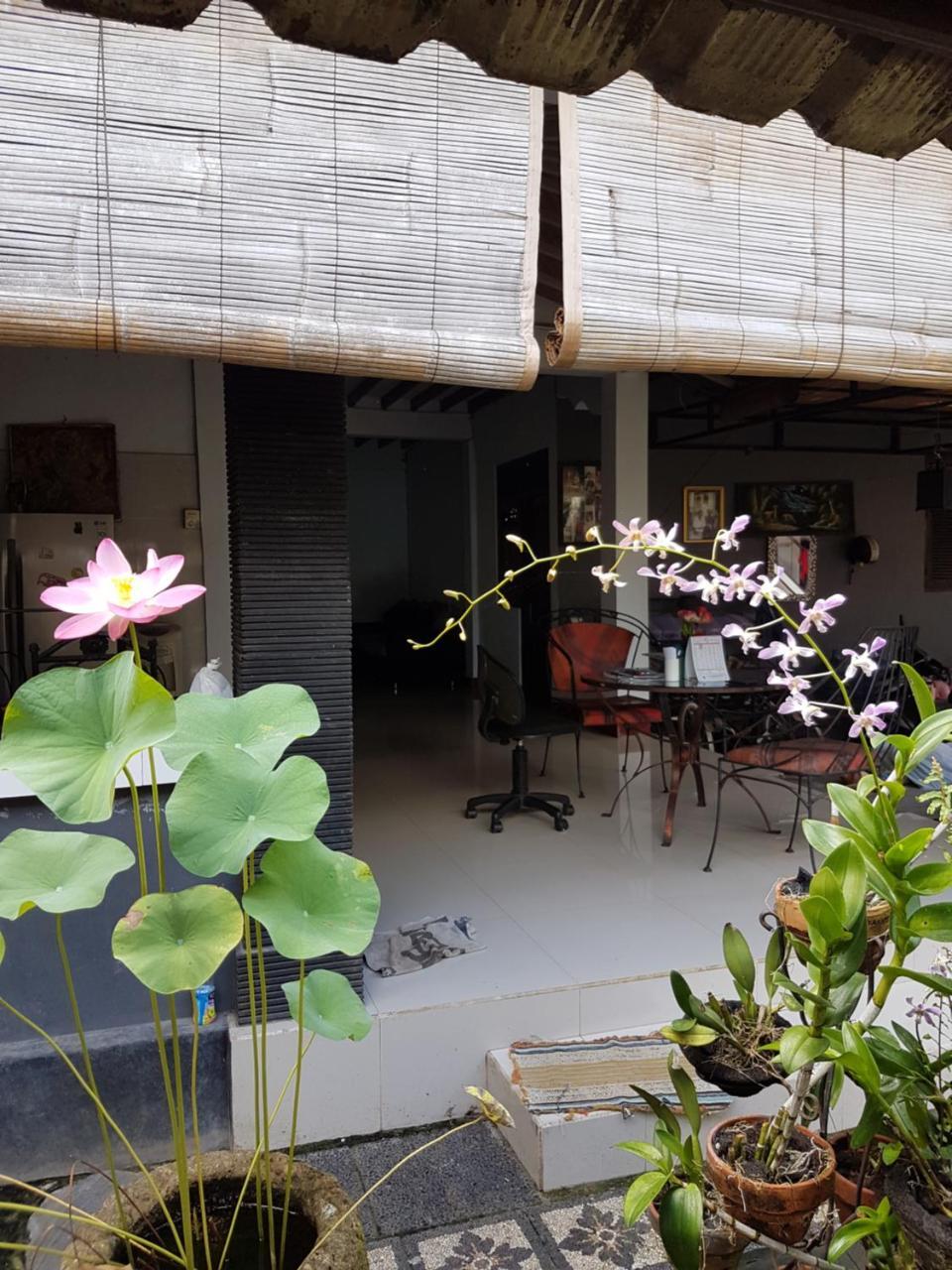 Mawar Homestay Canggu Екстериор снимка