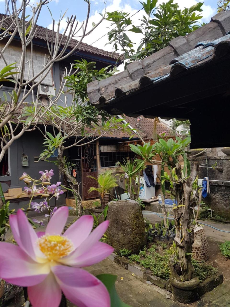 Mawar Homestay Canggu Екстериор снимка
